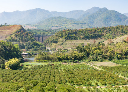 泰国北部有小型混凝土大坝的河谷有机橙类农庄自然建筑学旅行图片