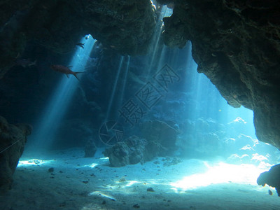 7号正念惊人的洞穴潜水埃及图片