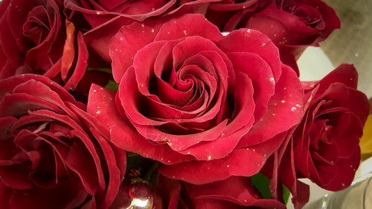 质地植物情人节美丽的红玫瑰纹理背景图片