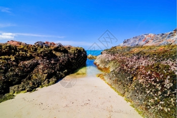 外用泰国美丽的岛屿向上飘动天堂有清澈海水和石头滩最好的滨图片