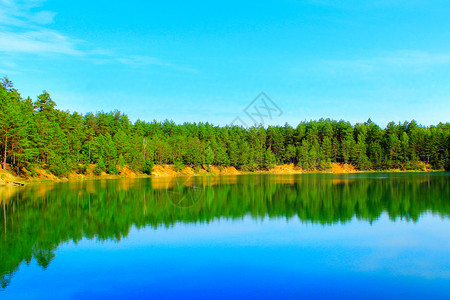树森林中的美景有光滑的湖泊天空安宁图片
