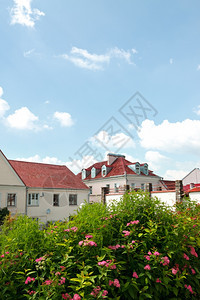 城市景观高的红色屋顶鲜花和蓝色天空园图片