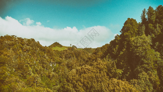 本国的Wawahomo农村春天新西兰山丘全景的春光怀托摩绿色图片
