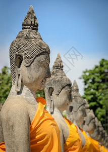 佛教徒泰国历史城市Ayutthaya的WatYaiChaiimongkol古老佛像排树图片