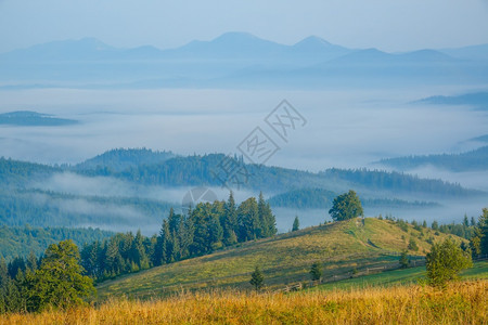 多雾路段场景天空后期计划蓝色山峰的夏季晨雾和河谷的薄下期计划蓝峰中的夏月早和峡谷薄雾图片