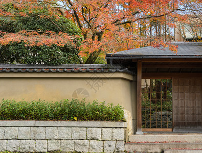 日本京都花园的秋叶绿树枫入口自然图片