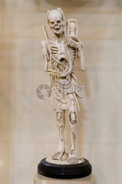 身体脊柱由陶瓷制造的人类骨骼小雕像由陶瓷制造的人类骨浆小雕像组成图片