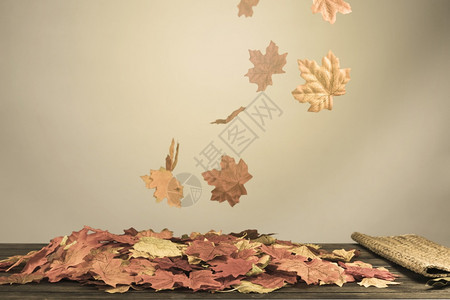 秋季的落叶和美景堕落高清图片素材