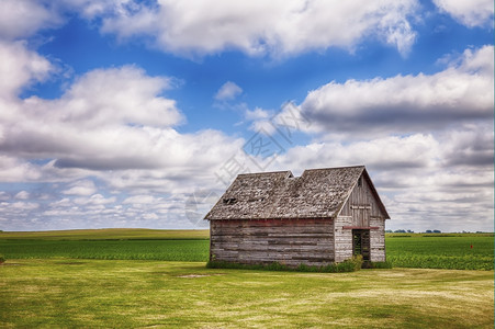 场地风化在爱荷华中部的一个农场上座旧棚子或类似的建筑站在早期玉米田前或者图片