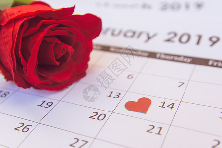 优秀的细节2月14日情人节红玫瑰心在日历页面上复制空间象征图片