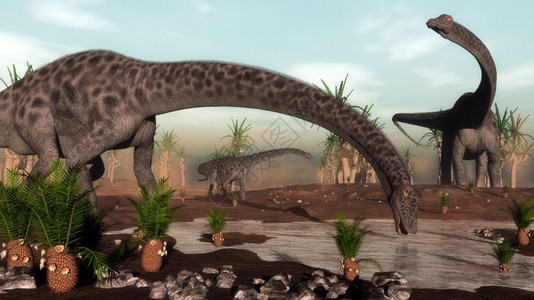 史前野生动物Diplodocus恐龙群聚集在湖附近沙漠中的柳树和三氯代亚狄氏菌植物3D使Diplodocus恐龙群得以饮用3D脊图片