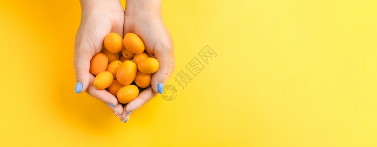 手心里的小橙子背景图片