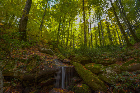 景观秋色与瀑布和叶囊颜色图片