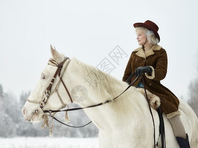 乡村的雪穿着冬衣和帽子的迷人女骑着白马森林图片