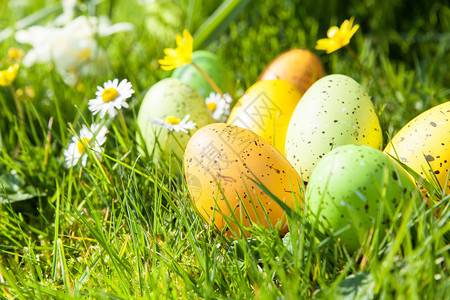 传统的阳光季节藏在鲜花和草地中的彩色复活节鸡蛋图片
