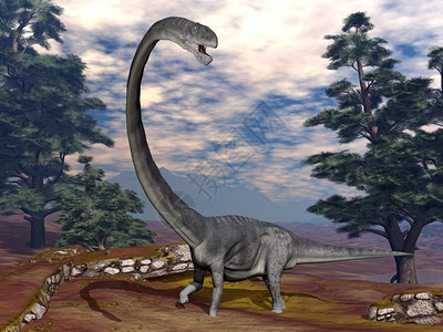 木龙恐在松树中行走3D化成木龙恐3D化成数字的时代山图片