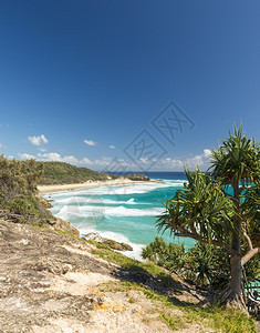北昆士兰海岸线沿的Pandanus棕榈和岩石头地香兰科景观图片