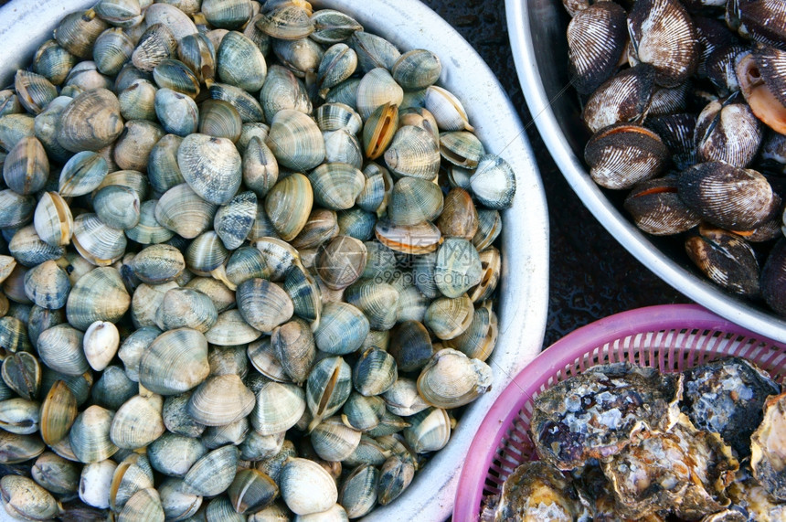 空气吃可口在越南露天市场展示新鲜海食品卖鱼指甲是营养食物富有的奥米茄3健康饮食通常在沿海亚洲地区许多菜都是生图片