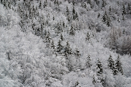 冬季雪景风光图片