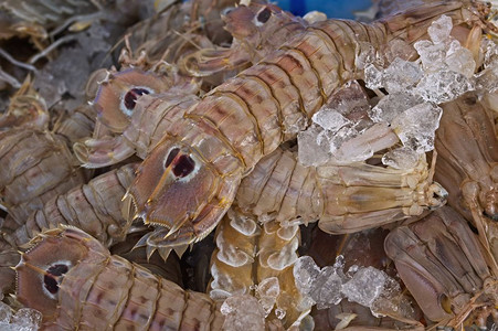 海厨房纳达林在当地市场上出售的长蚁虾图片