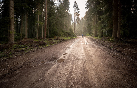 在森林中走迷雾道路上的孤单男人Silhouette木头积极的质地图片