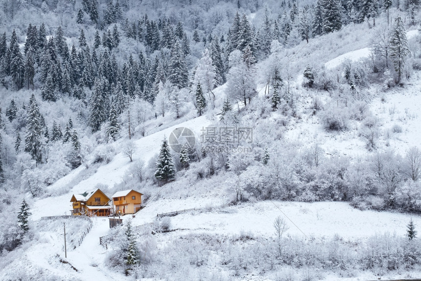 多雾路段树景观冬季山坡上有房子的雪林山坡上有房子的雪林图片