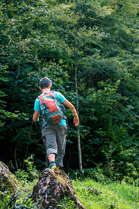 活动夏天一种带着背包走过石头朝森林去的年轻流浪汉在带背包游荡的假期里他穿着运动夏季服装图片