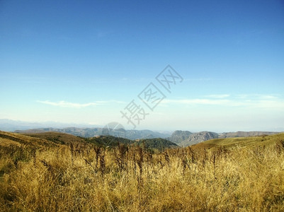 山白天的高加索景观和秋天自然日光土地绿色图片