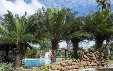 水非洲南部内地有棕榈树的热带游泳池景观健康图片