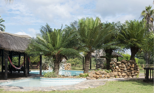 酒店放松非洲南部内地有棕榈树的热带游泳池太阳图片