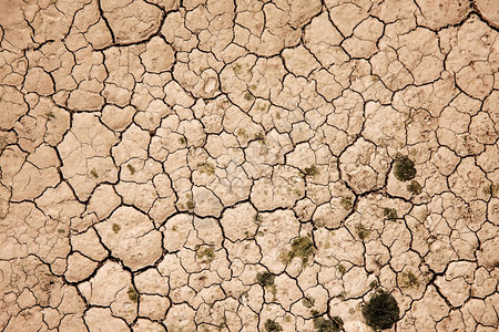 可持续的人们干旱土壤地面生态系统危机全球升温问题概念无水土地概念直接高于顶层最佳图片