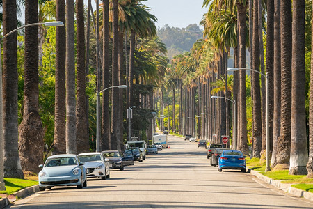 美国加利福尼亚州洛杉矶比佛利山街和棕榈树昂贵的目地道图片