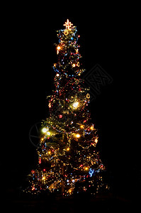 夜晚的圣诞树灯水平季节黑色图片