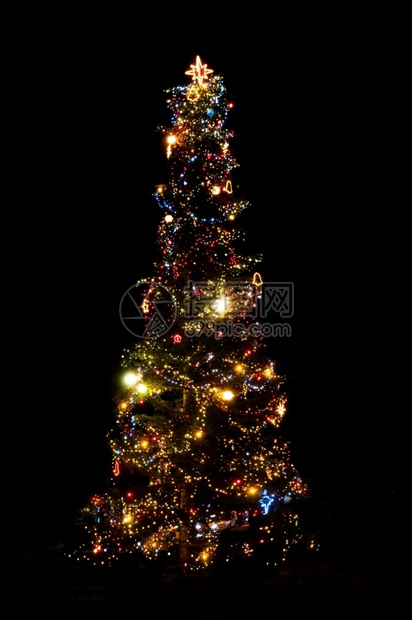夜晚的圣诞树灯水平季节黑色图片