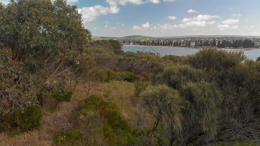 悬崖海岸户外南澳大利亚航空观察处格拉内特岛和维克托港图片