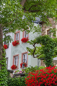 摩泽尔帕利卡拉斯德国Mosel河边Beilstein村窗户上挂花盆的传统房子2015年7月视窗图片