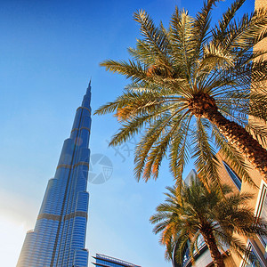 建筑学迪拜塔UAEBurjKhalifa迪拜世界最高建筑亚洲图片
