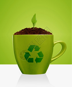 全球的地理在绿杯中生长的年轻植物具有回收标志生态意识概念干净的图片