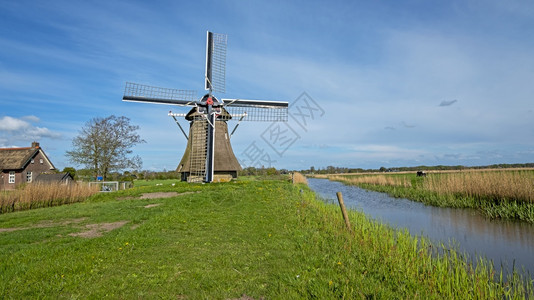 老的荷兰农村Oodker风车来自荷兰草地历史的图片
