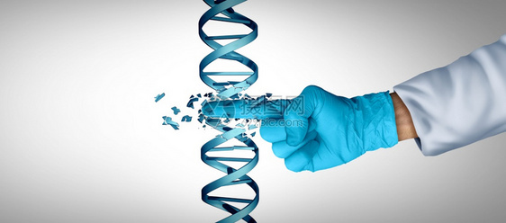 一种基因工程和DNA或基因疗法作为CRISPR生物技术概念的基因工程和DNA或基因疗法以双螺旋线作为具有3D说明要素的科学医生或图片