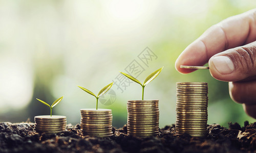 投资将钱手工放在小树堆上在硬币中逐步成长财务和会计概念财富银行业图片