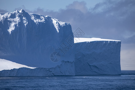 游泳偏蓝南极洲海洋水中的大型冰山漂流盒图片