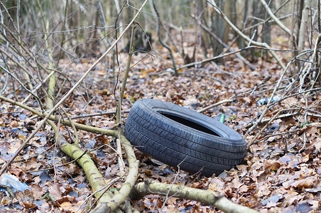 橡胶自然追踪森林中的轮胎地面上子林中汽车轮胎图片
