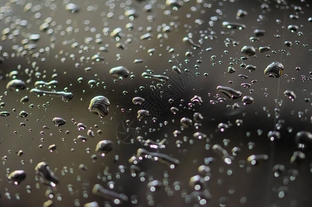 雨滴自然质地黑色背景的抽象水滴数图片