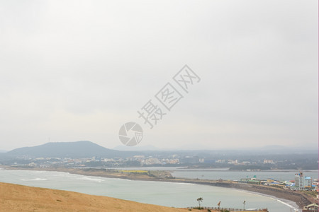 韩国济州岛冬季风景绿色天太阳图片