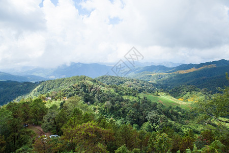 山区林的农业地高山森林大面积树木覆盖土地亚洲图片