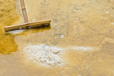 蒸发海水盐烘干场地农民图片
