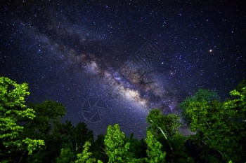 夜间天空的一部分在赤道纬度上有恒星和银河下面有绿色热带树星际等离子体辉光图片