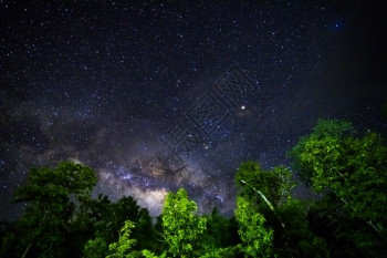 夜间天空的一部分在赤道纬度上有恒星和银河下面有绿色热带树星系等离子体夜晚图片