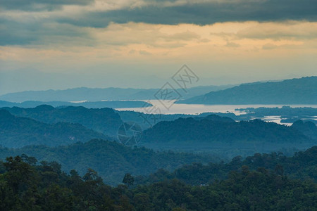 雾覆盖的森林在早晨覆盖了森林风景优美薄雾户外图片